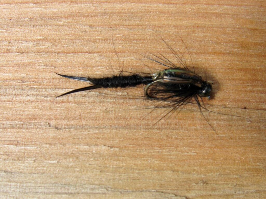 The Wiggle Stonefly Nymph on a table.