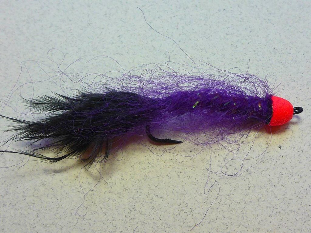 The Red-Headed Blurple Leech on a white table.