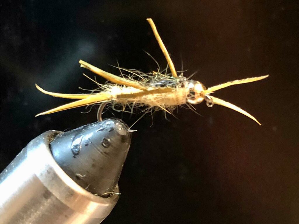 The Golden Stone fly lure in a clamp.