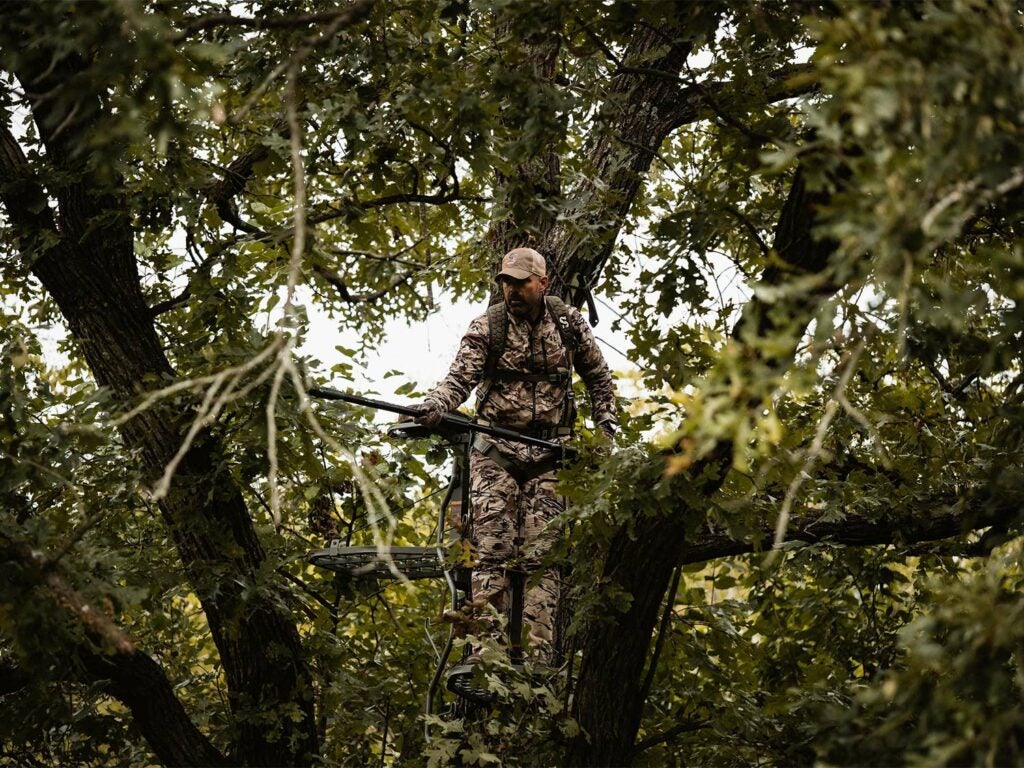 A hunter trims branches to clear a line of sight in their tree stand.