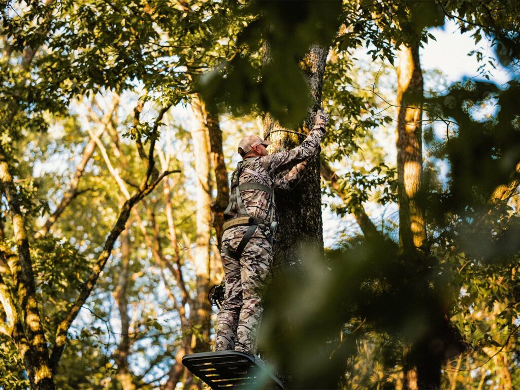 A hunter hangs a tree stand in a tree.