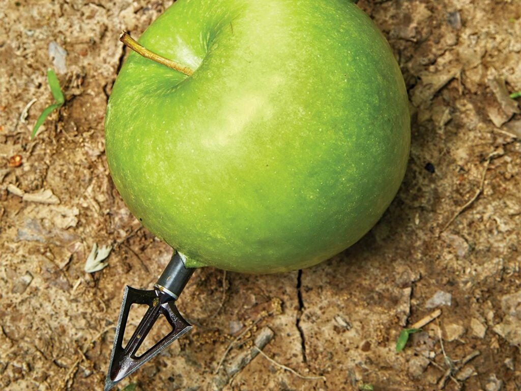 A green apple with an arrow stuck through it.