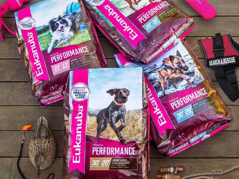 bags of Eukanuba Premium Performance Line dog food on a wooden floor.