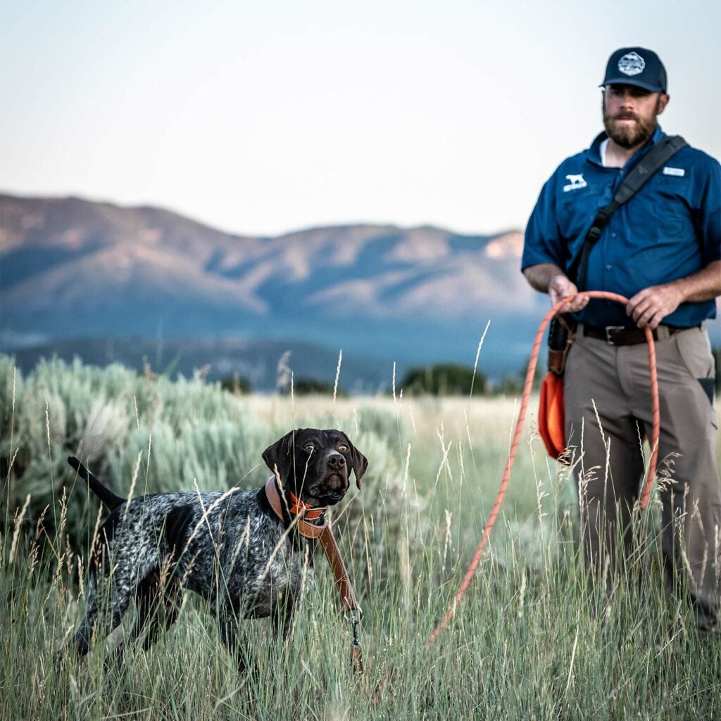 A hunter and his hunting dog in an open field.