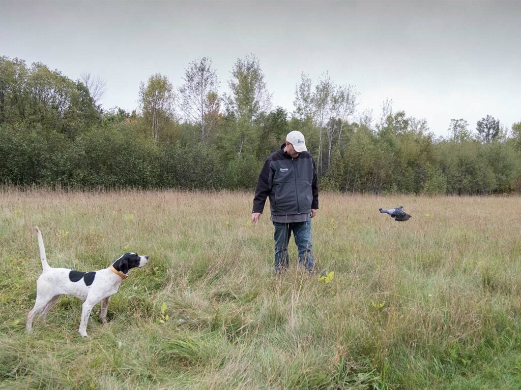 A hunter training a hunting dog in an open field.