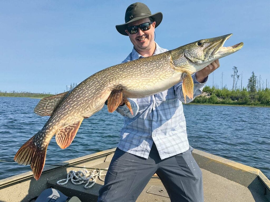 An angler in sunglasses and a fishing hat stands on a boat on a lake and holds up a large Northern pike.
