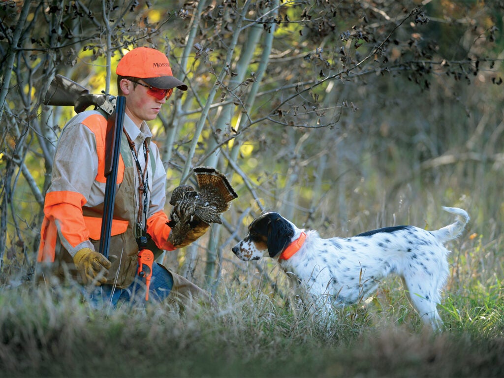 A hunter in orange kneels next to a hunting dog and holds a grouse up against it.