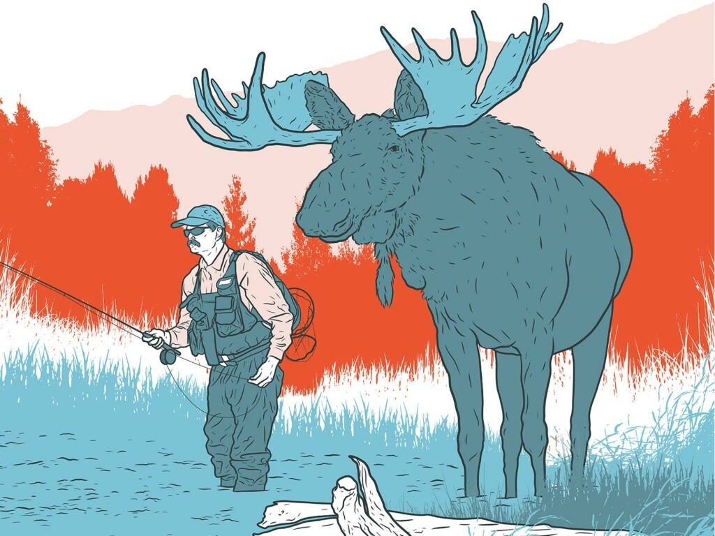Illustration of a moose standing next to a fisherman that's wading in a stream fishing.