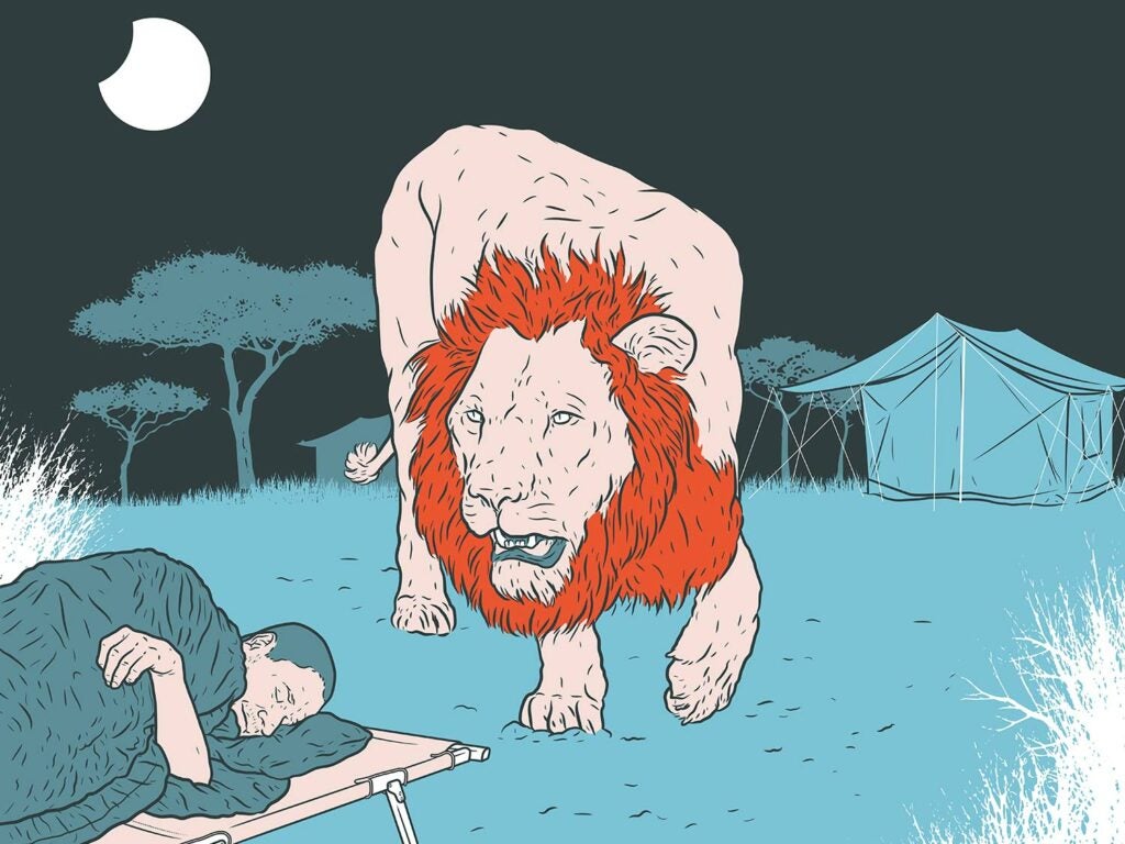 Illustration of a male lion sneaking up on a hunter sleeping on a cot.