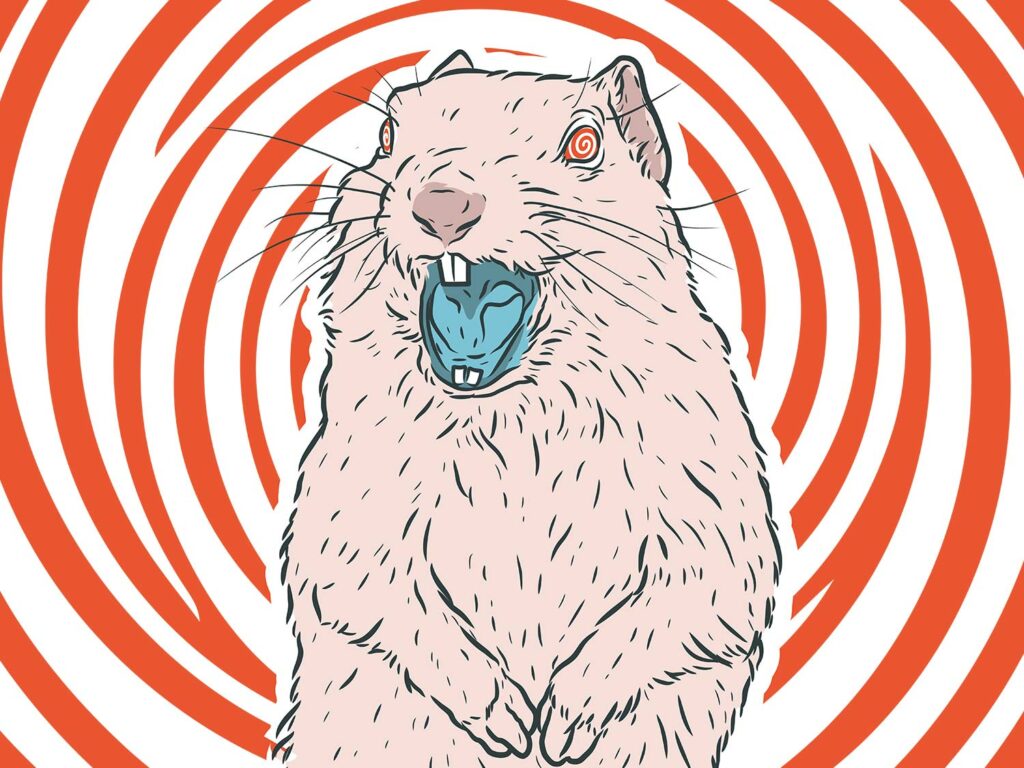 Illustration of a wild prairie dog with evil eyes.