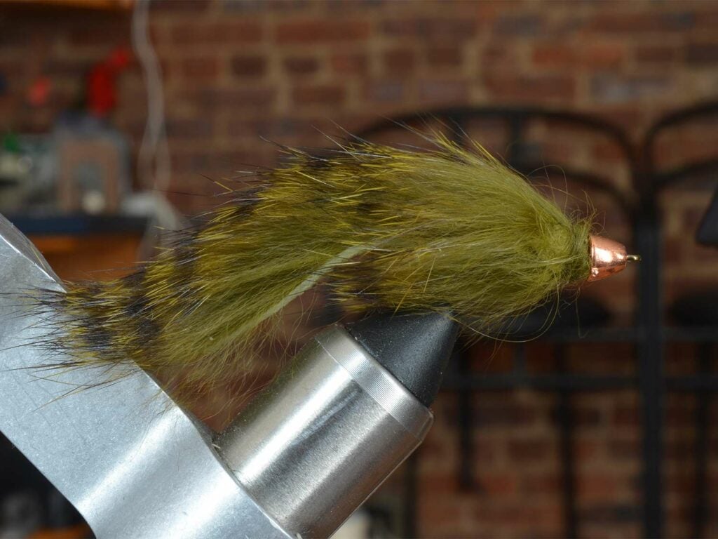 A green and brown striped fuzzy fly lure secured in a vice grip.