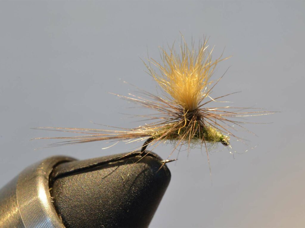 A yellow and green fuzzy fly lure held in vice.