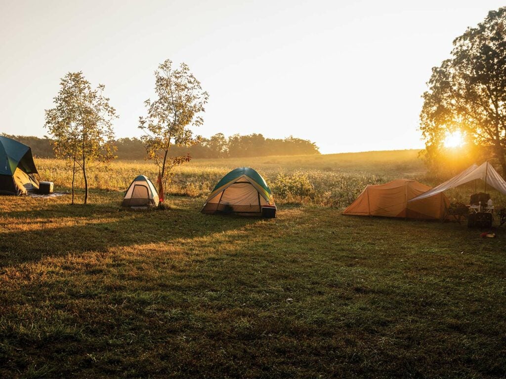 A grouping of camping tents in a large open field. The sun peeks out over the horizon and casts shadows on the ground from the tents and the surrounding trees.
