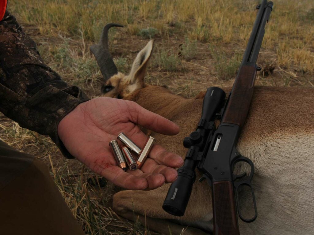A hunter holds a handful of bullets in his hands.