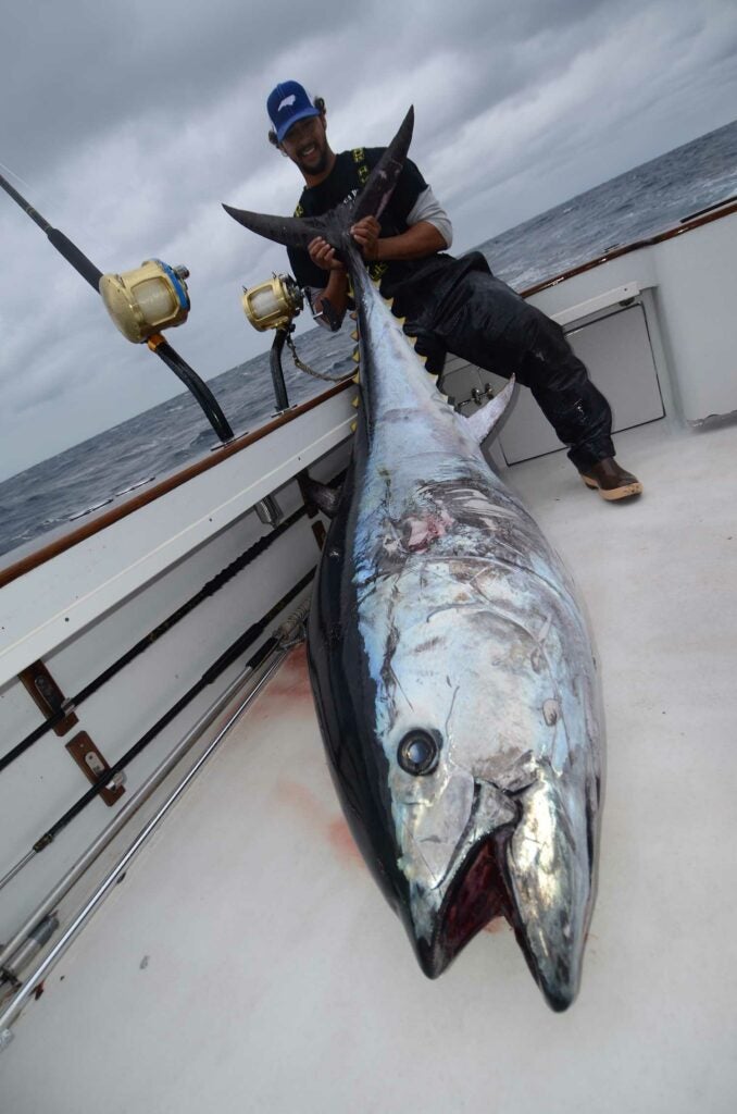 An angler holds up a large bluefin tuna.