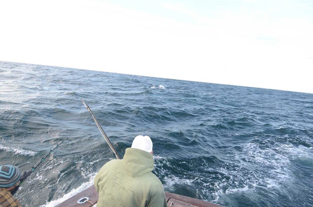 An angler fishing off the back of a boat deck.
