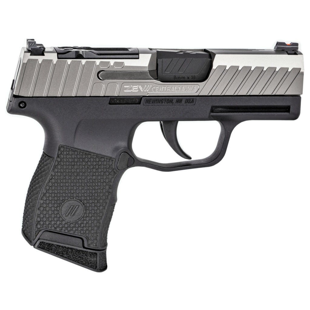 Polymer frame two-tone stainless 9mm pistol.