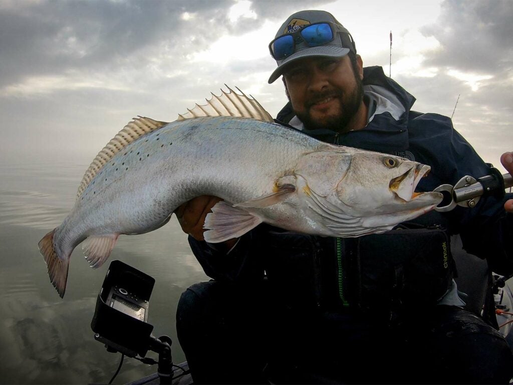 An angler holds up a large fish.