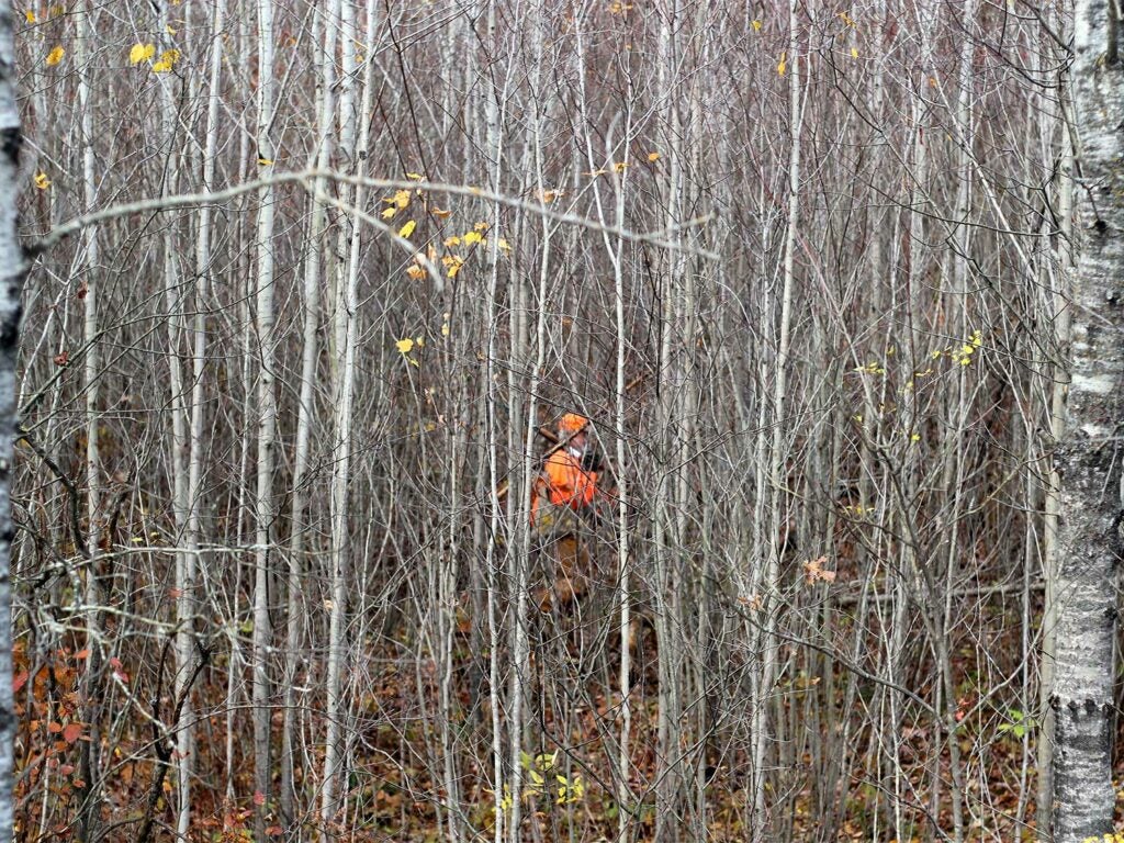 A hunter walks through the woods, obscured by the trees.