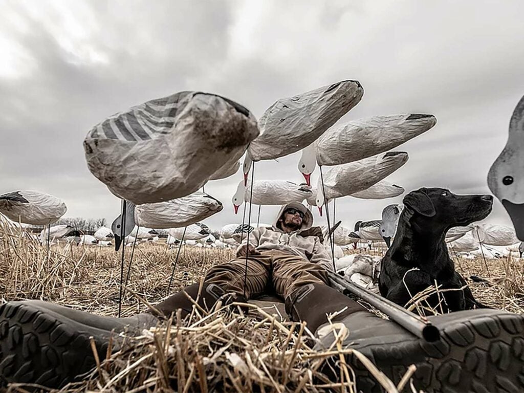 A hunter amogst goose decoys.