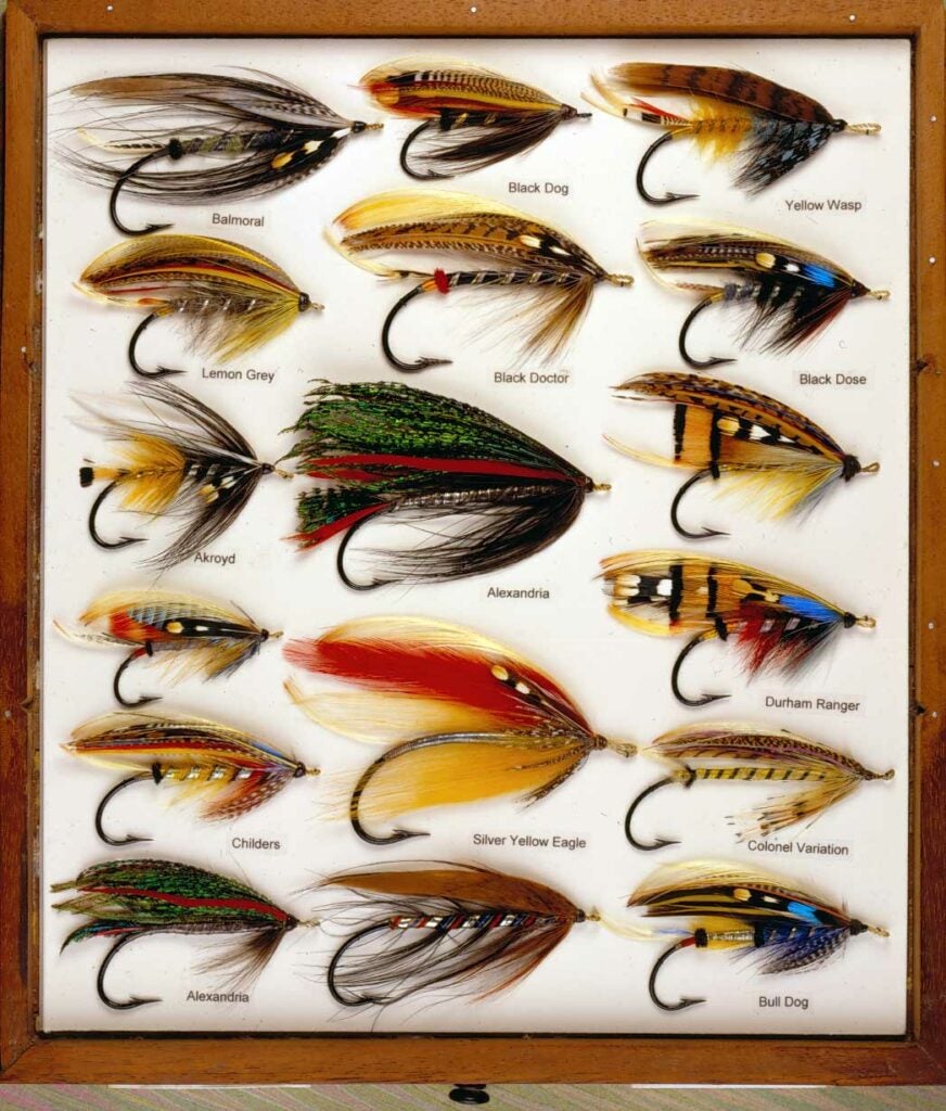 a collection of fly lures