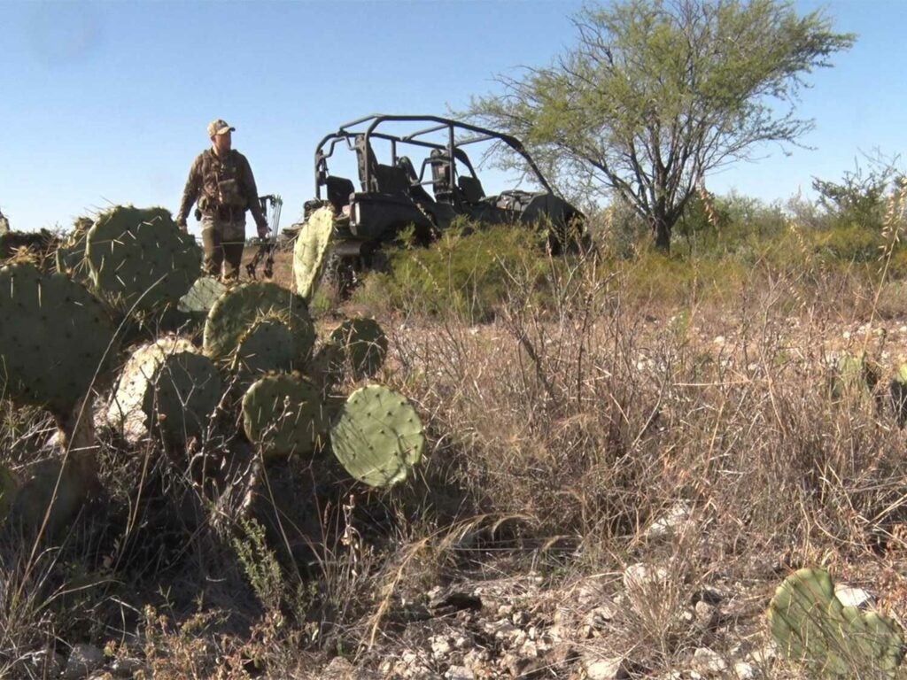 A hunter steps away from their UTV and walks towards a cactus.
