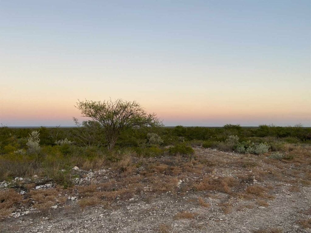 A picture of a sunset over the Texas landscape of dirt, brush, and trees.