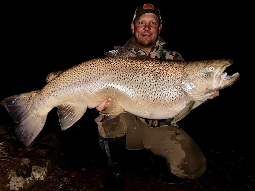 A man holds up a gigantic brown trout.