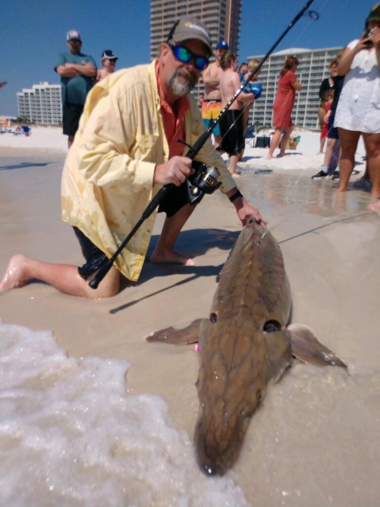 A man kneels on the sand of a beach next to a large sturgeon.