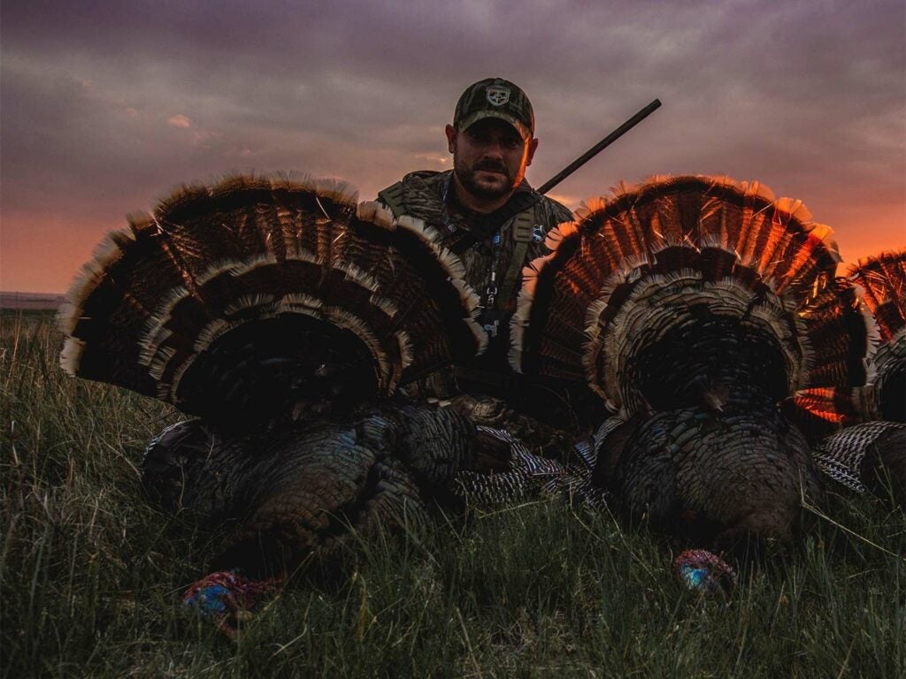 A hunter poses next to two turkeys on the ground.