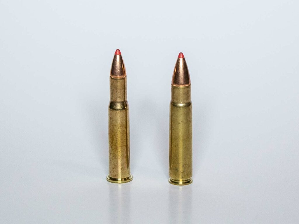 Two rifle bullets on a grey background.