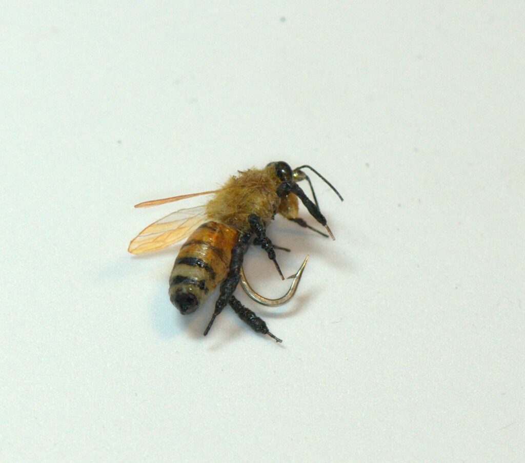 Fred Hannie realistic Bee fishing fly.