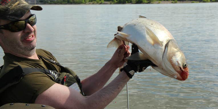 Tackling the Asian Carp Invasion with a First-Time Bowfisherman