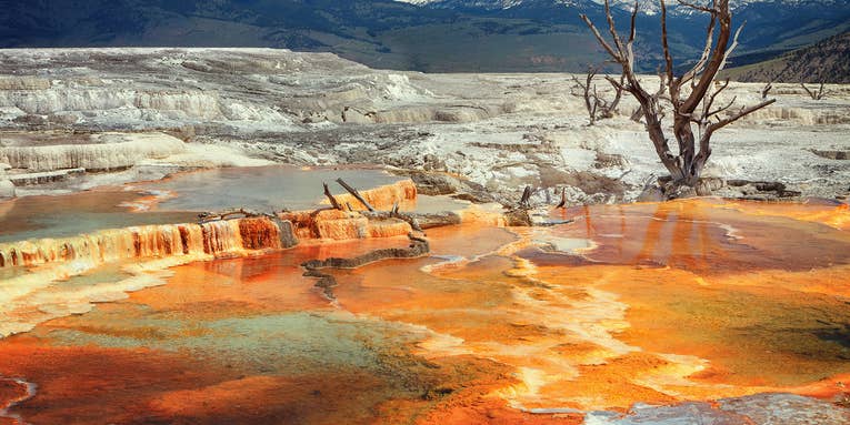 Actor Fined For Walking on Thermal Features in Yellowstone
